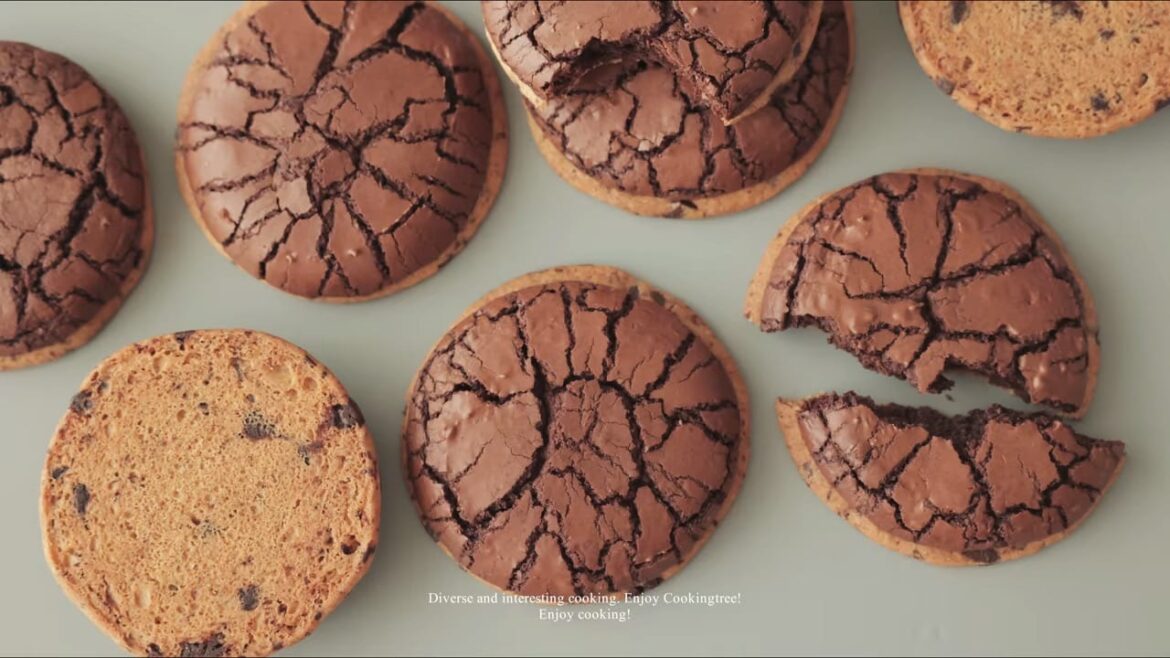 Chocolate Chip Cookies Brownie Cookies Recipe Cooking tree