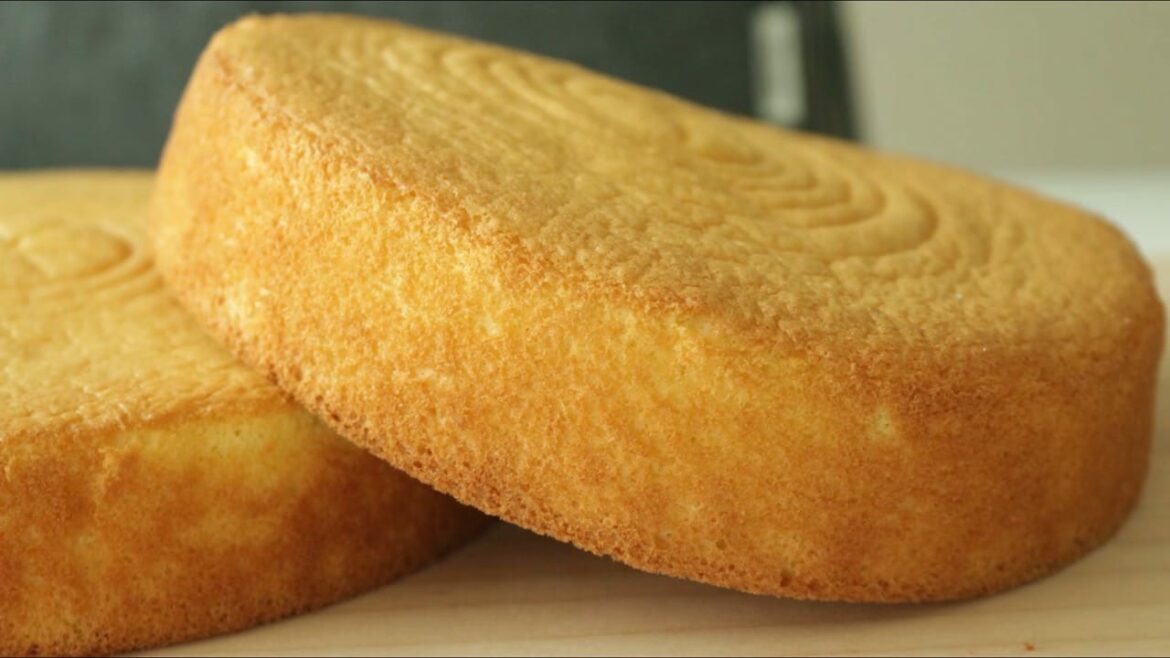 Basic Sponge cake sheet Genoise Cooking tree