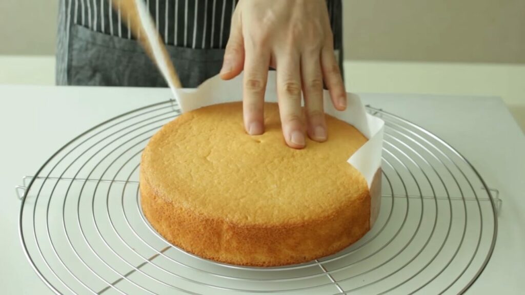 Basic Sponge cake sheet Genoise Cooking tree