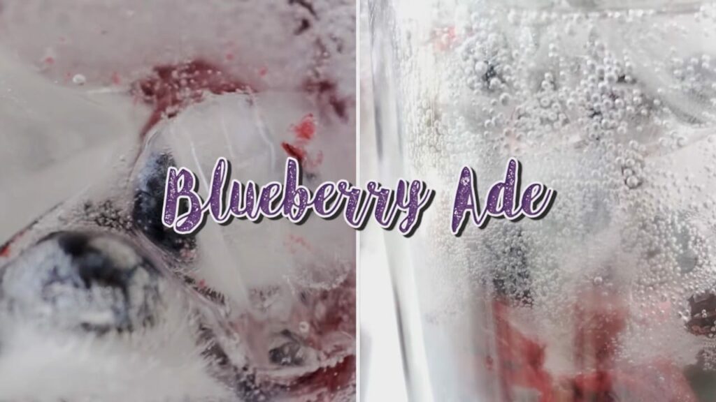 Blueberry ade Cooking tree