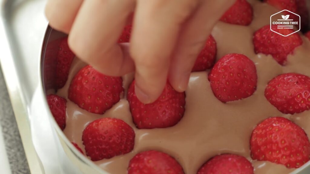Chocolate strawberry fraisier cake Recipe Cooking tree