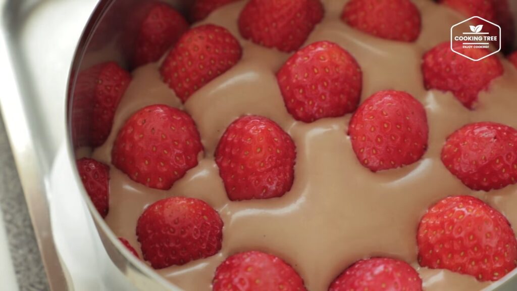 Chocolate strawberry fraisier cake Recipe Cooking tree