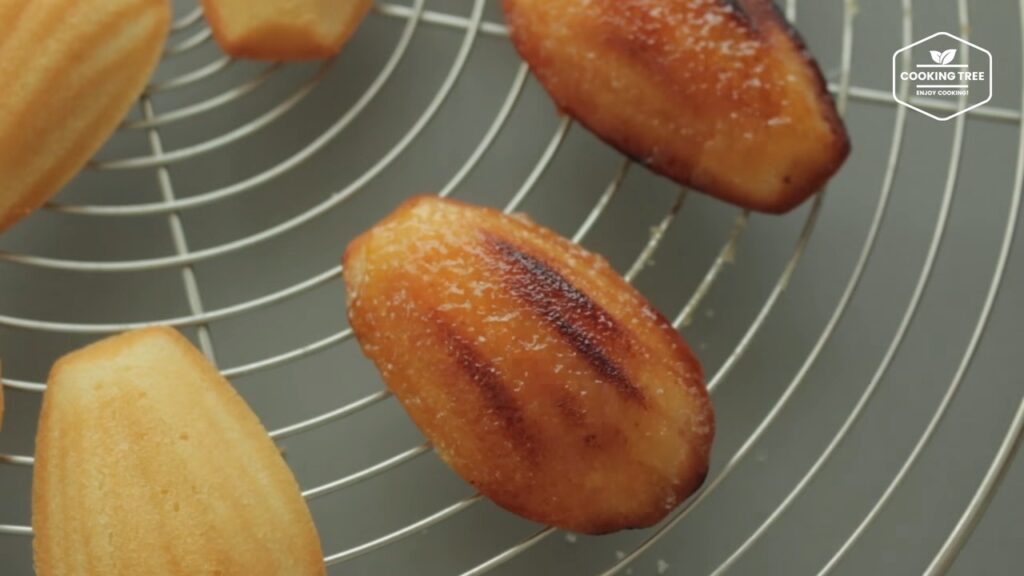 Creme brulee Madeleine Recipe Cooking tree