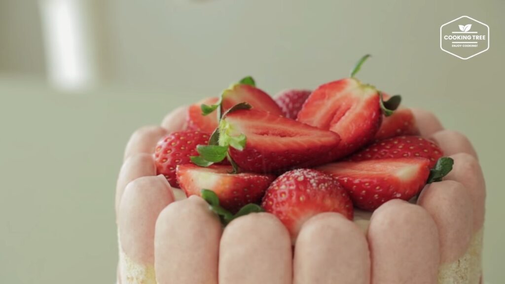 Strawberry charlotte cake Recipe Cooking tree