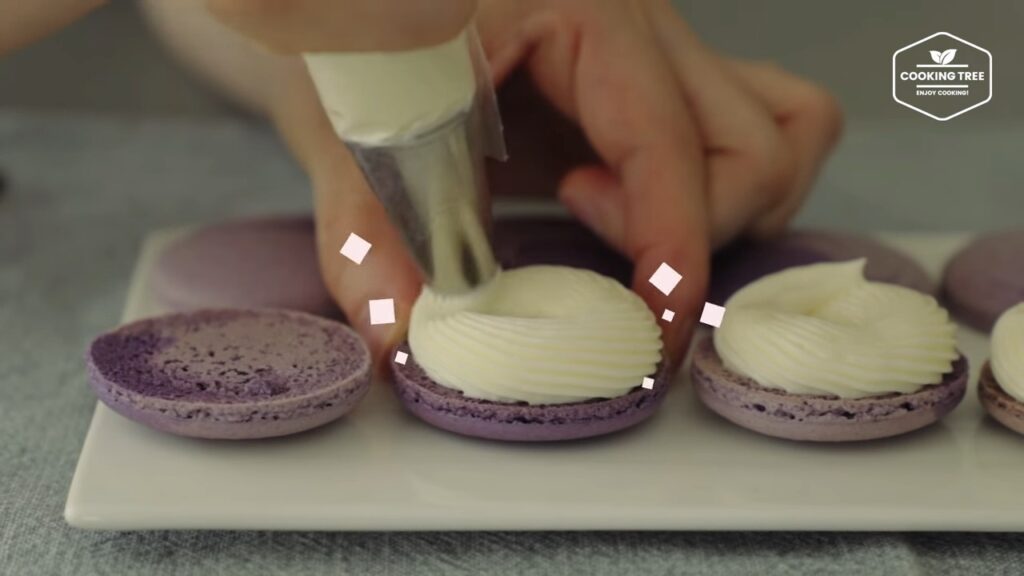 Blueberry Macaron Recipe Cooking tree
