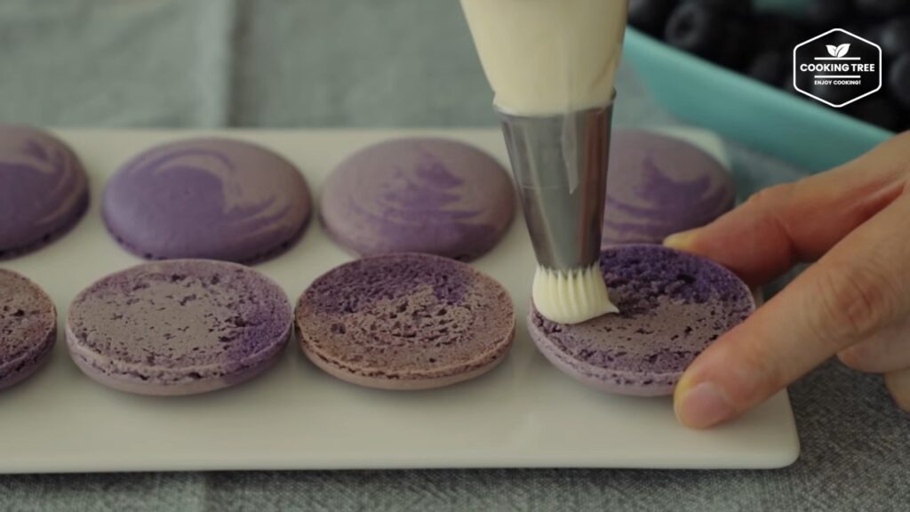 Blueberry Macaron Recipe Cooking tree