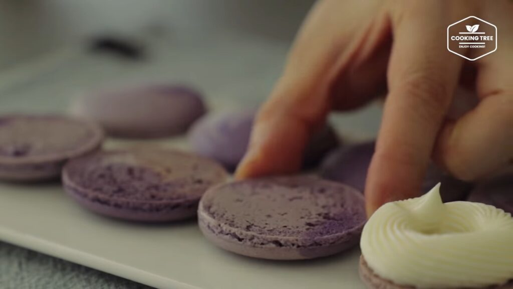 Blueberry Macaron Recipe Cooking tree