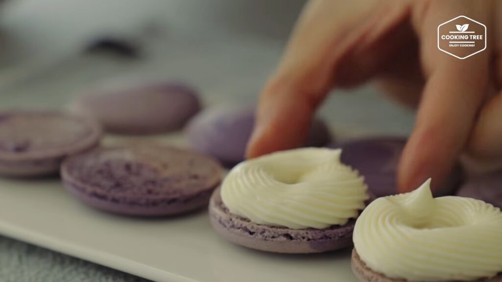 Blueberry Macaron Recipe Cooking tree
