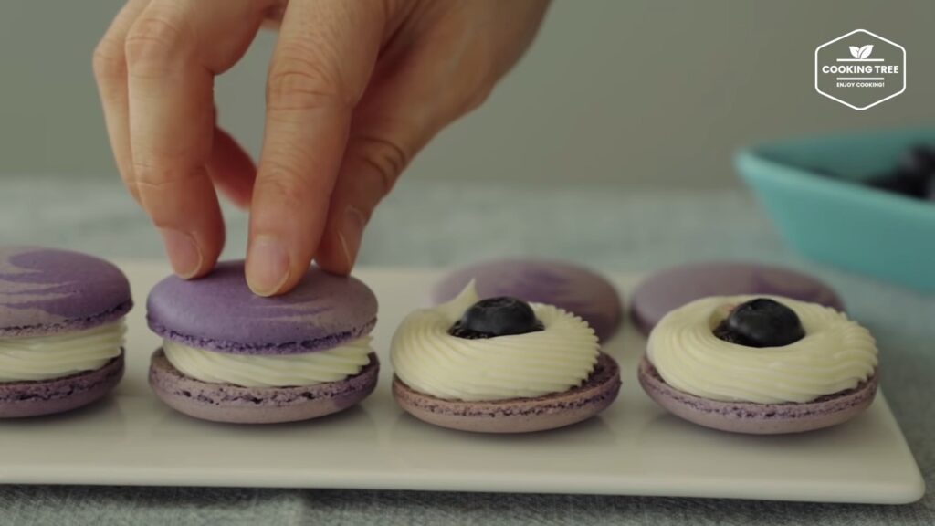 Blueberry Macaron Recipe Cooking tree