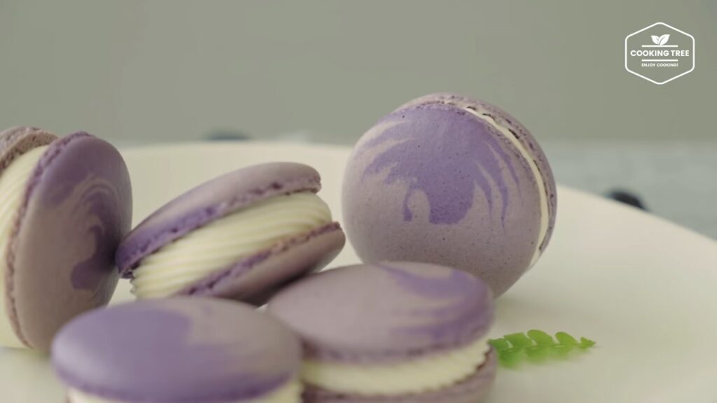 Blueberry Macaron Recipe Cooking tree