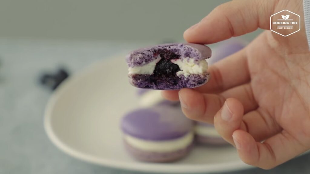 Blueberry Macaron Recipe Cooking tree