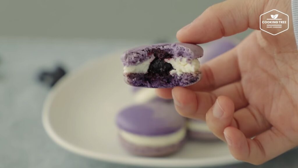 Blueberry Macaron Recipe Cooking tree