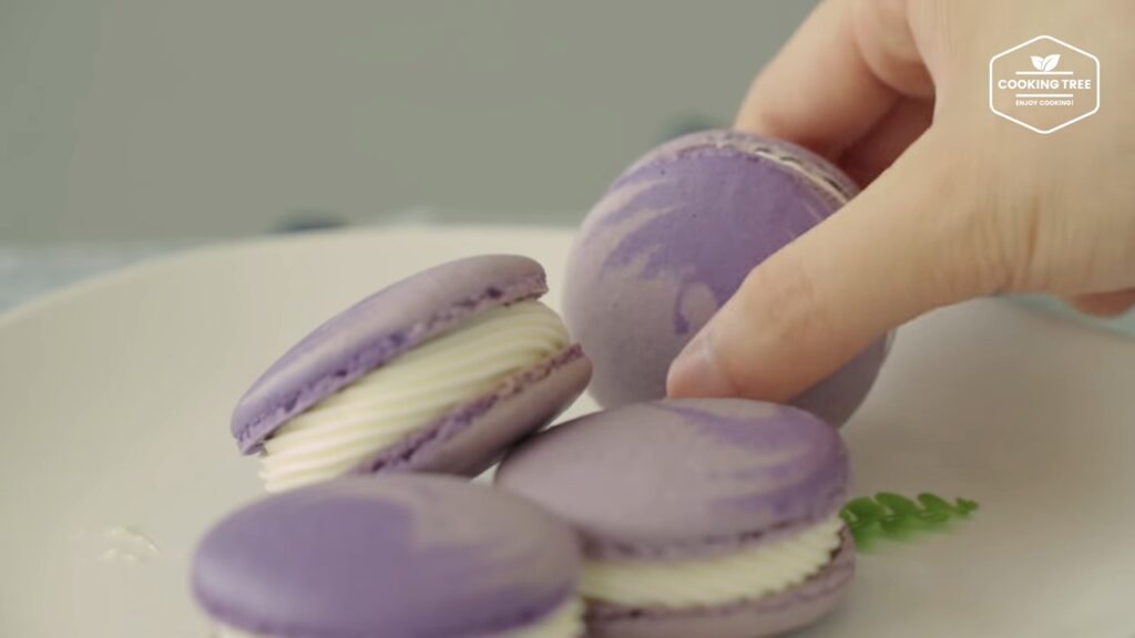 Blueberry Macaron Recipe Cooking tree