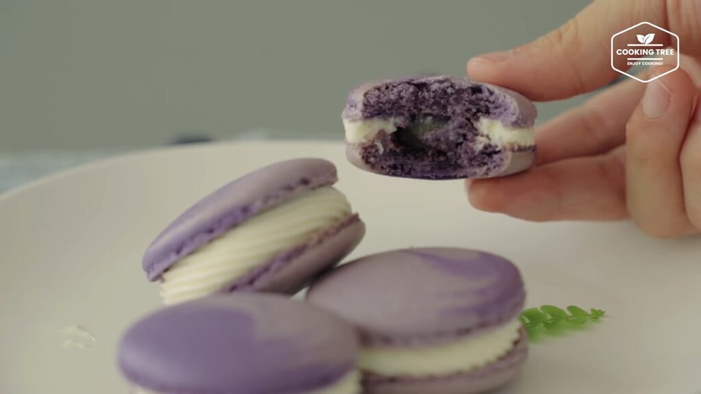 Blueberry Macaron Recipe Cooking tree