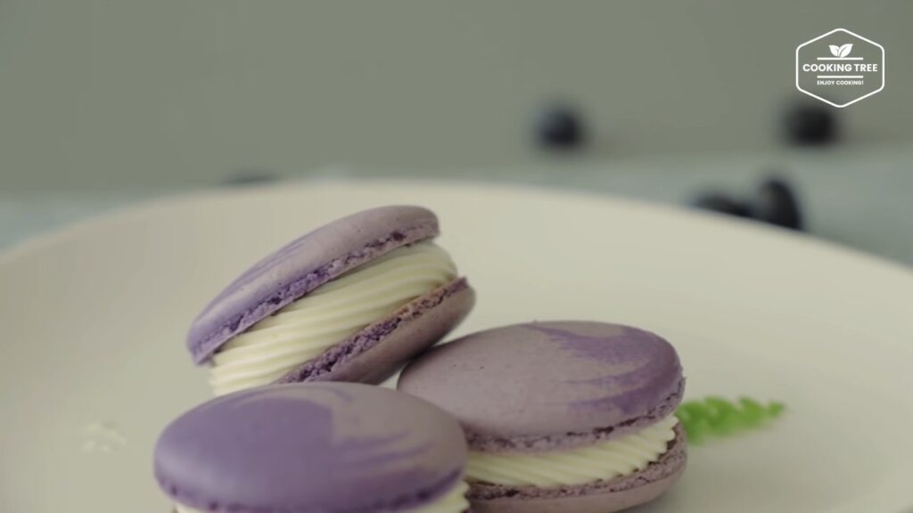 Blueberry Macaron Recipe Cooking tree