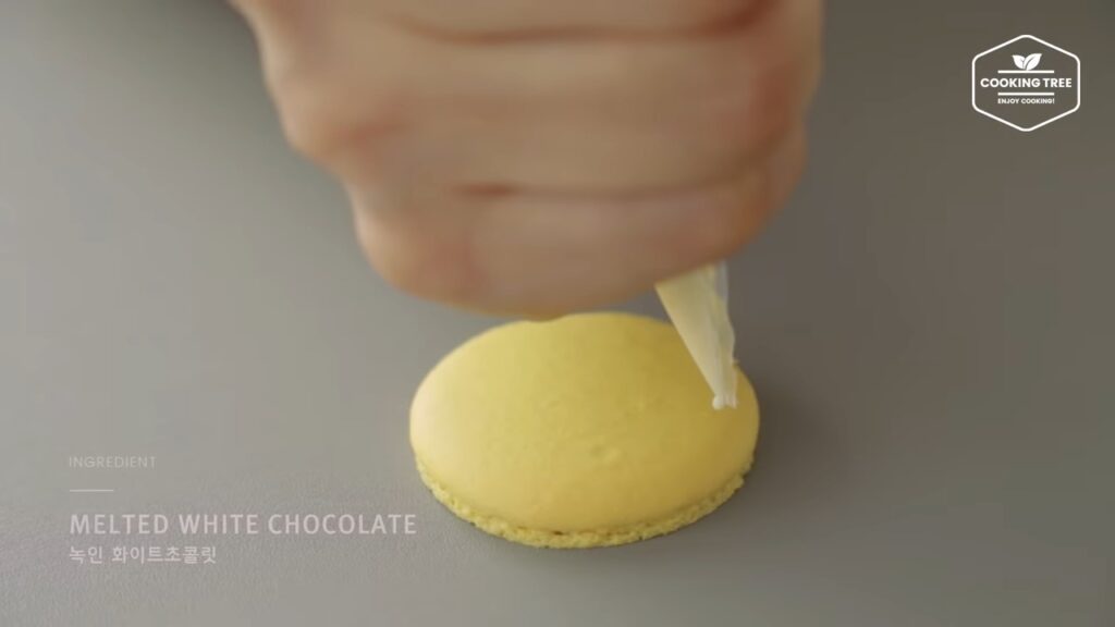 Lemon Macaron Recipe Cooking tree