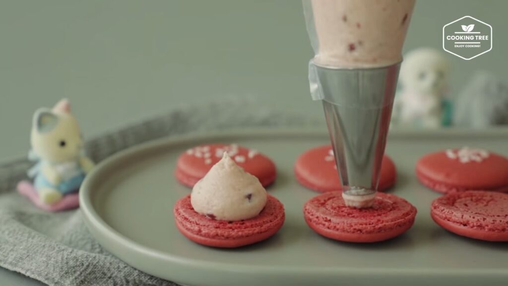 Raspberry Macaron Recipe