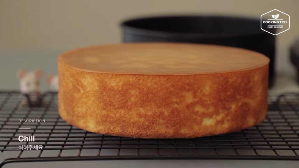 Double Cheesecake Recipe Cooking tree
