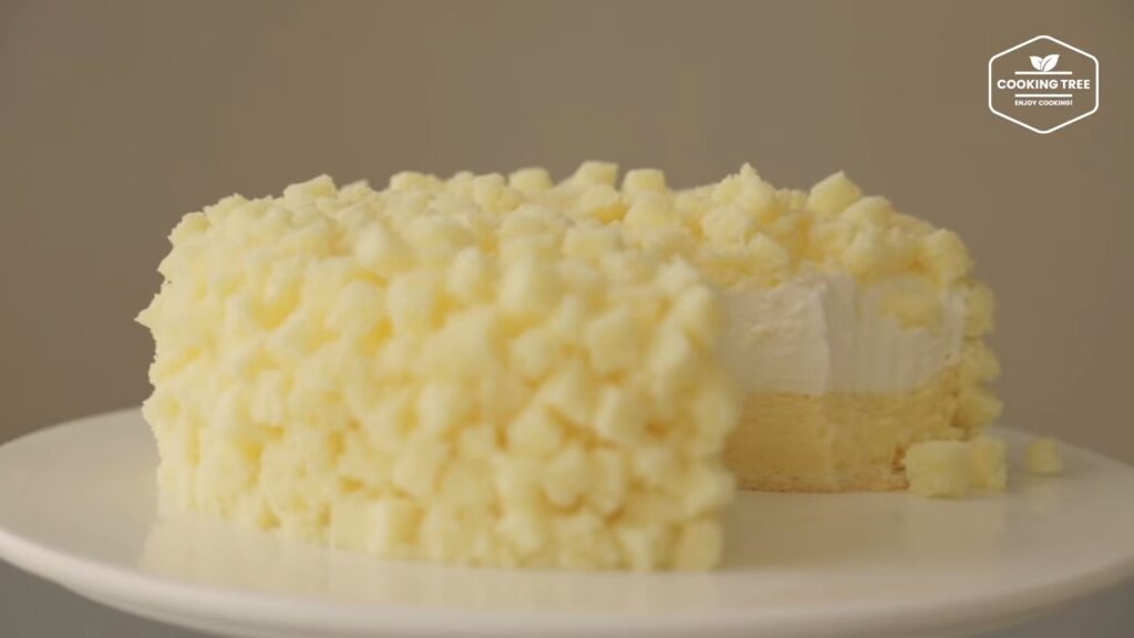 Double Cheesecake Recipe Cooking tree
