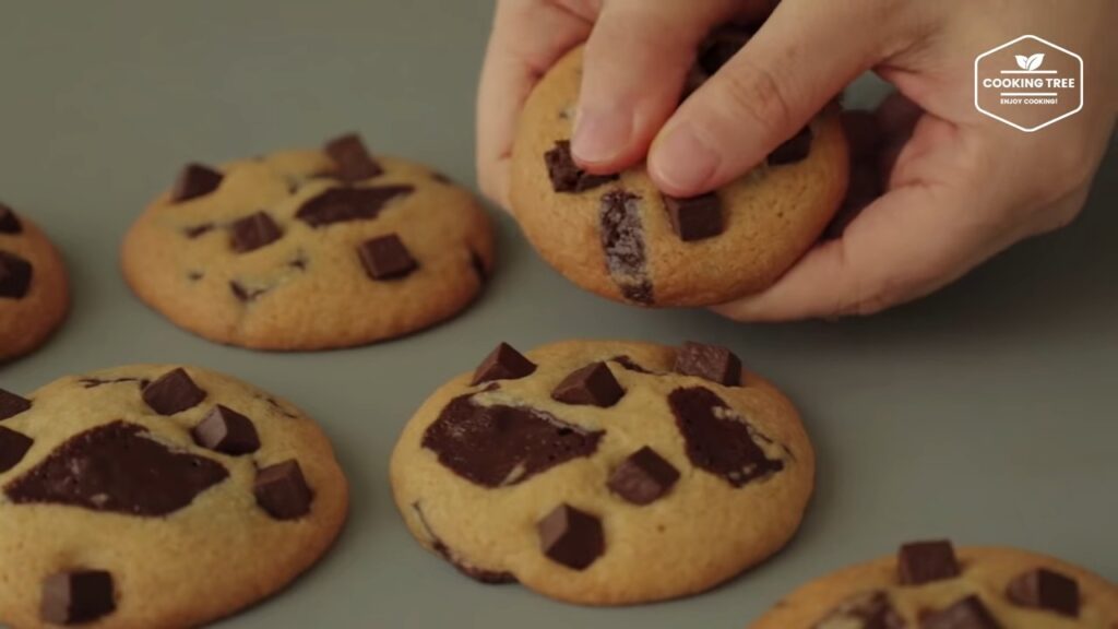 chocolate chip Cookies Recipe Cooking tree