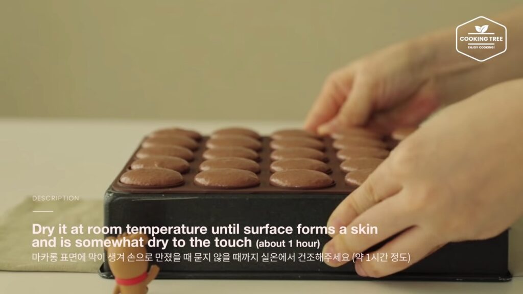 Ferrero Rocher Chocolate Macaron Recipe Cooking tree