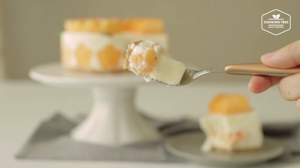 No Bake Cantaloupe Melon Cheesecake Cooking tree