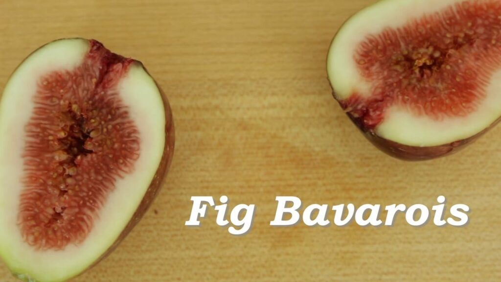 Fig Bavarois Pudding Cooking tree