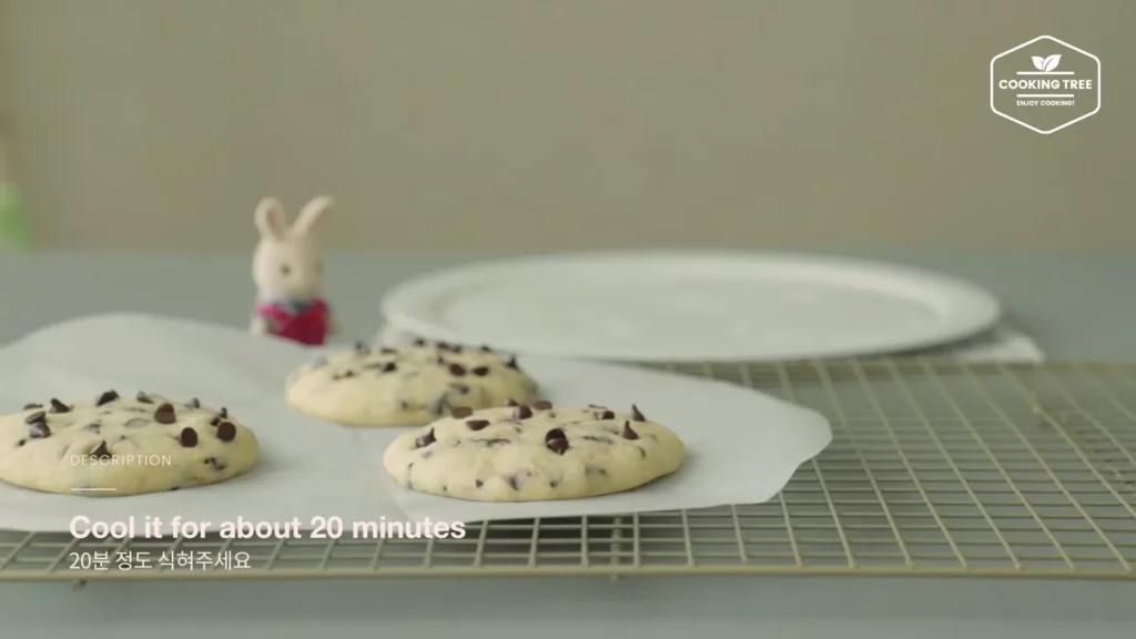 Microwave Chocolate Chip Cookies Recipe Cooking tree