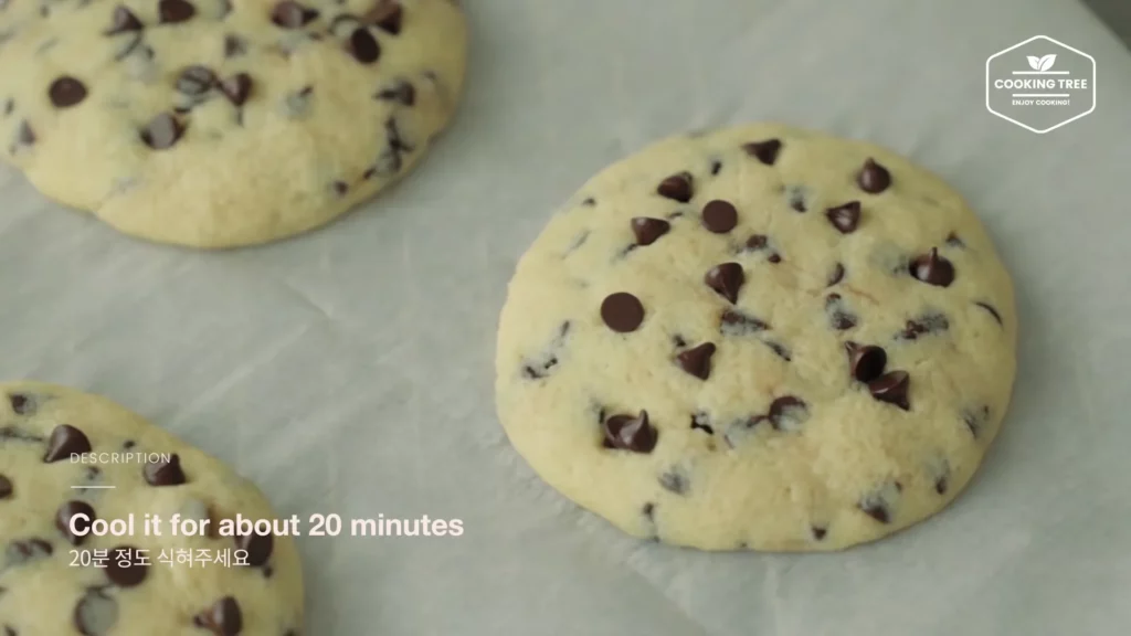 Microwave Chocolate Chip Cookies Recipe Cooking tree