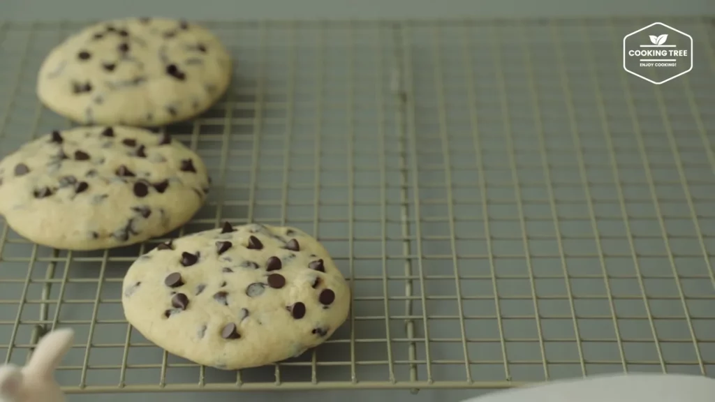 Microwave Chocolate Chip Cookies Recipe Cooking tree