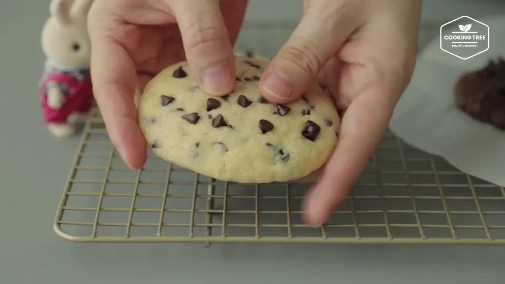 Microwave Chocolate Chip Cookies Recipe Cooking tree
