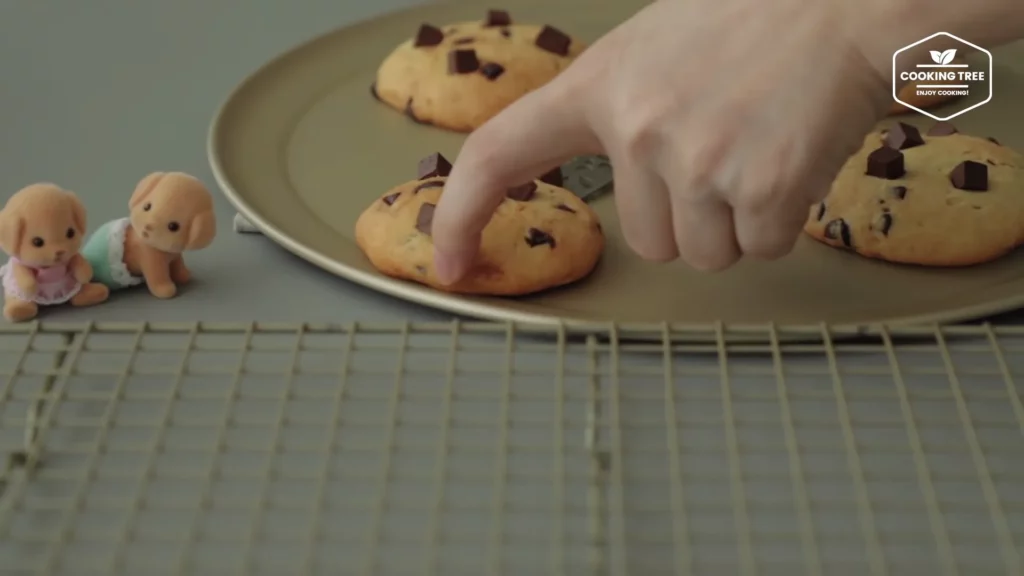 Nutella Chocolate chip Cookies Recipe Cooking tree