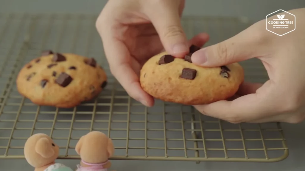 Nutella Chocolate chip Cookies Recipe Cooking tree